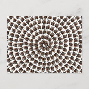 The Wombat Whirl: A Spiral of Wonder, Postcard