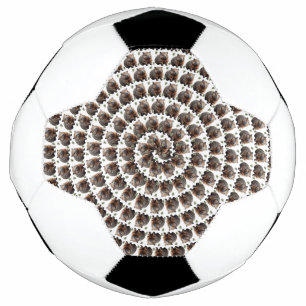 The Wombat Whirl: A Spiral of Wonder, Soccer Ball