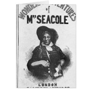 The Wonderful Adventures of Mrs Seacole'