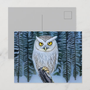 The Woodland North Woods Little Grey Owl Postcard