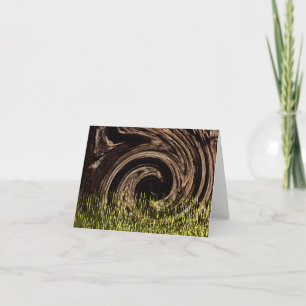 The Woods...... Card