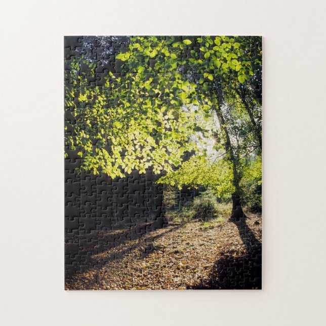 The Woods in Spring Jigsaw Puzzle (Vertical)
