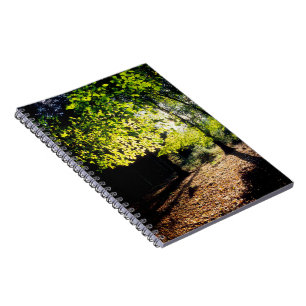 The Woods in Spring Notebook