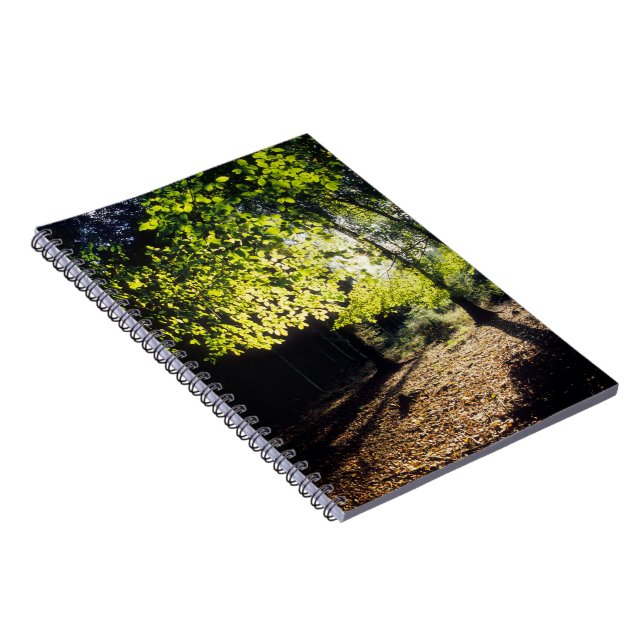 The Woods in Spring Notebook (Right Side)
