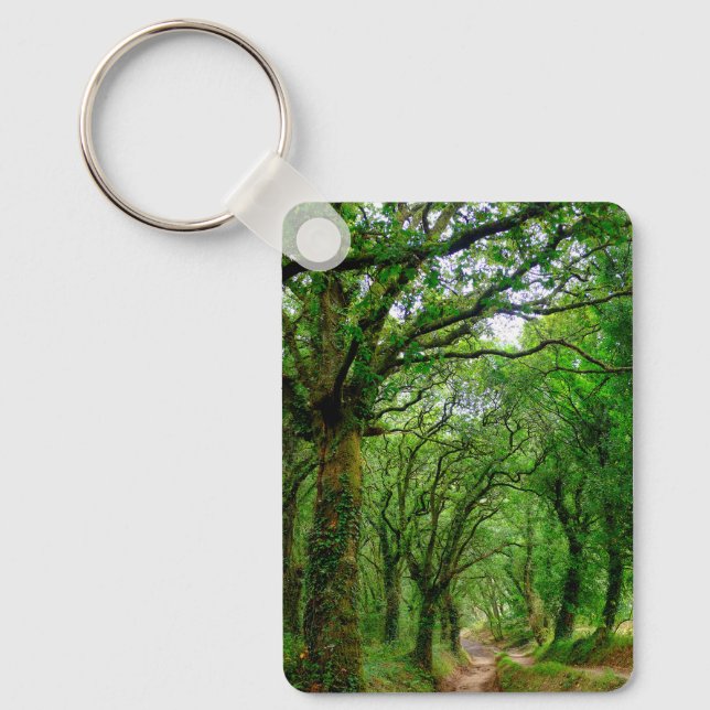 The woods outside of Palas de Rey  Key Ring (Front)