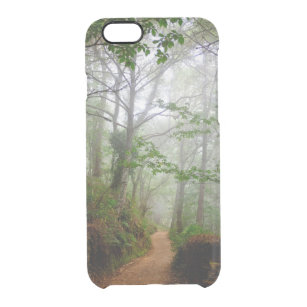 The woods outside of Portomarin Clear iPhone 6/6S Case