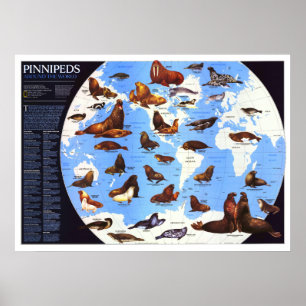 " The World: 1987 Pinniped around the World ... Poster