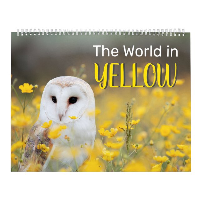 The World in YELLOW, 2025 Two Page Large Calendar (Cover)
