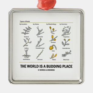 The World Is A Budding Place (Types Of Buds) Metal Tree Decoration