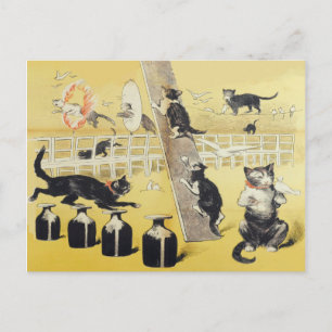 The World Of Cat Postcard