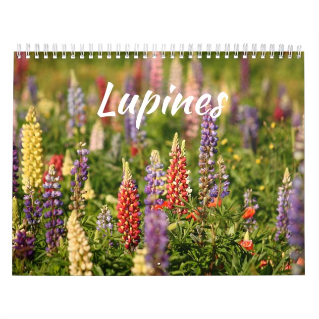 The World of Lupines Calendar (Cover)