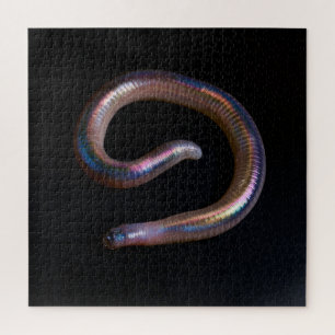 The Worm Collection Jigsaw Puzzle