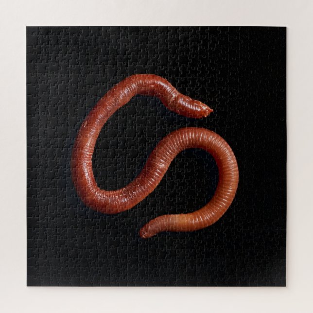     The Worm Collection  Jigsaw Puzzle (Vertical)