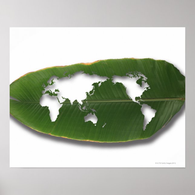 The worm-eaten leaf world map poster (Front)