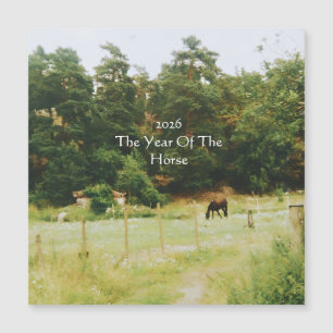 The Year Of The Horse, 2026,