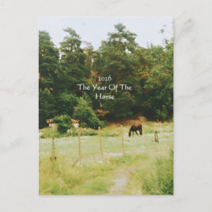 The Year Of The Horse, 2026, Holiday Postcard
