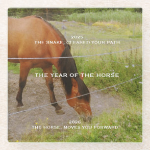 The year of the Horse, 2026 qoute Glass Coaster
