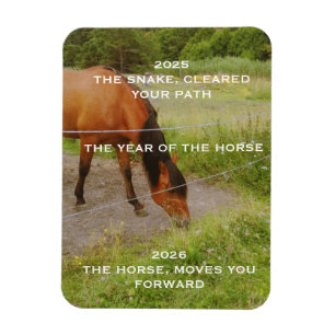 The year of the Horse, 2026 qoute Magnet