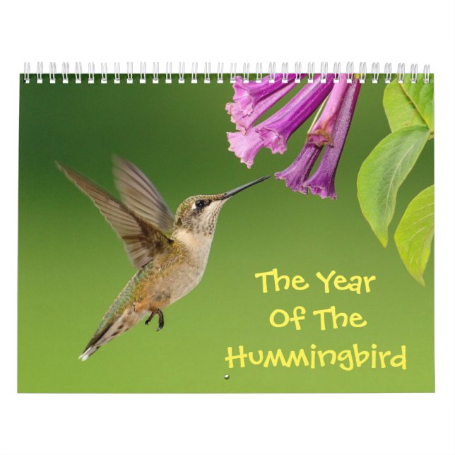 The Year Of The Hummingbird Calendar (Cover)