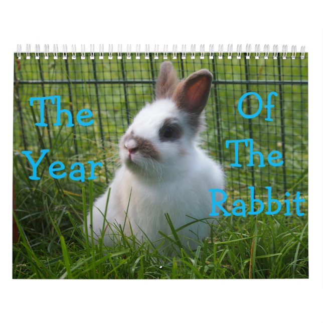 The Year Of The Rabbit Calendar (Cover)