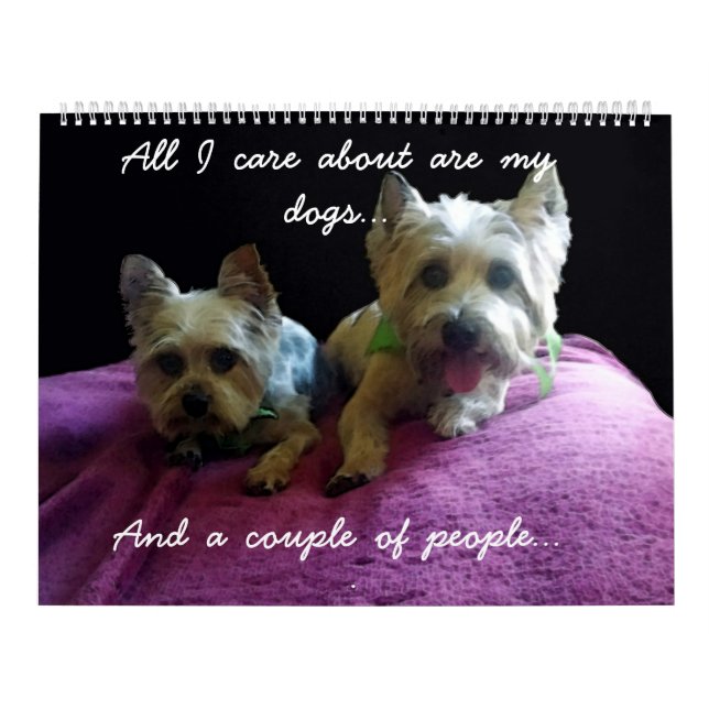 The Year With Moose And Barney Calendar (Cover)