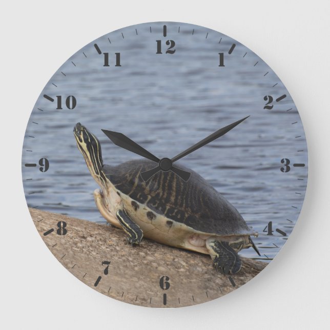 The yellow-bellied slider turtle large clock (Front)