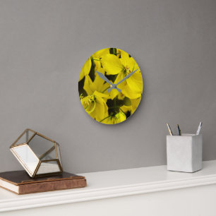 The yellow of laburnum flowers round clock