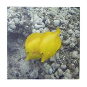 The Yellow Tang Fish Ceramic Tile