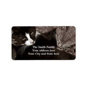 The Yin Yang Cats Label