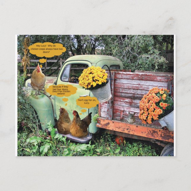 The yolks on you! postcard (Front)