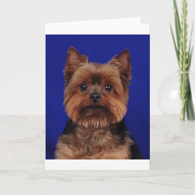 The Yorkie Card (Front)