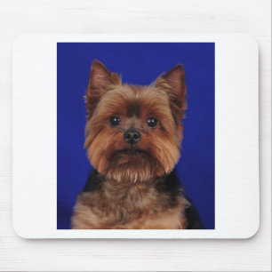 The Yorkie Mouse Pad