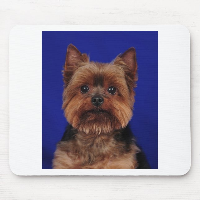The Yorkie Mouse Pad (Front)