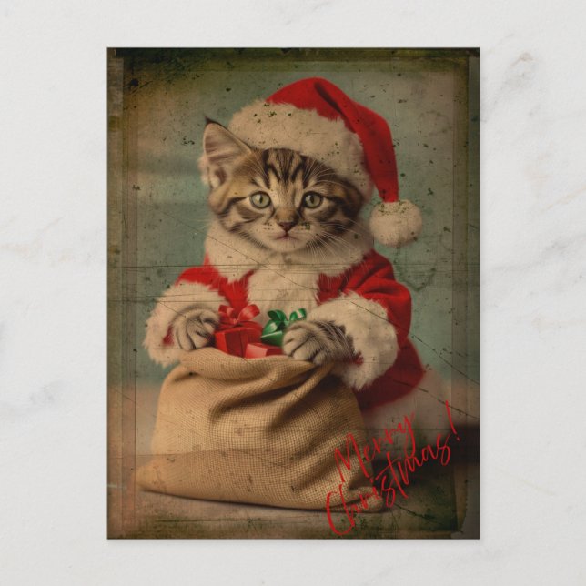 The 'Yuletide Yawn' Dashing Kitten Christmas Postcard (Front)