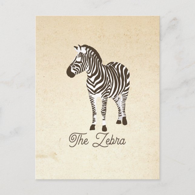 The Zebra Colour Block Postcard (Front)