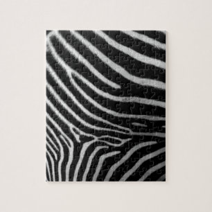 The Zebra Puzzle Challenge