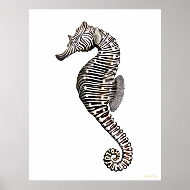 The Zebra Seahorse Art Poster (Front)