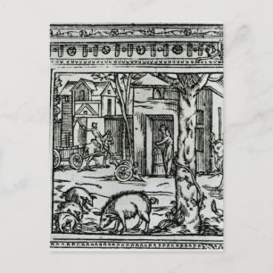 Theatre d'Agriculture et Mesnage des Champs' Postcard