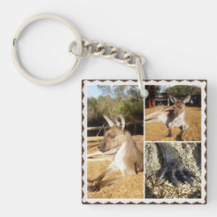 Thee Kangaroo Picture Collage, Keyring