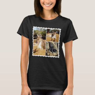 Thee Kangaroo Picture Collage,  T-Shirt