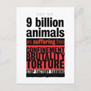 Their Suffering Postcard