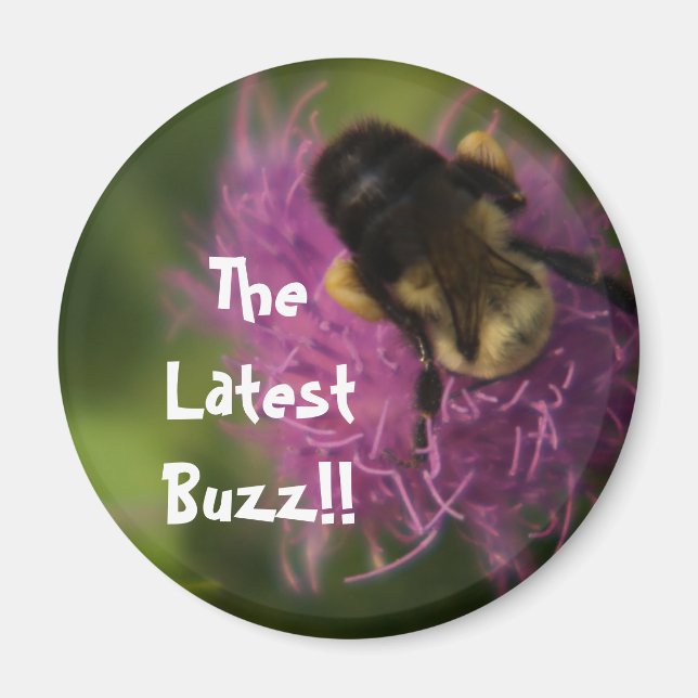 TheLatest Buzz!! Magnet (Front)