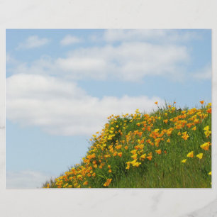 Theme Paper Flyers Blue Sky White Clouds Poppies