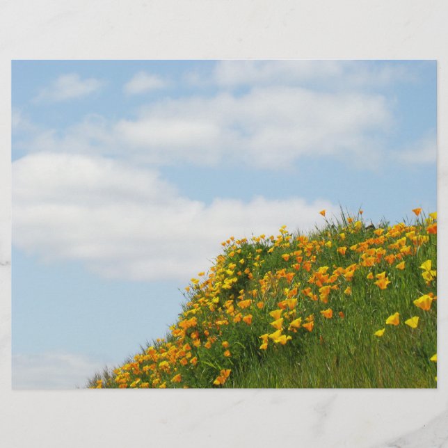Theme Paper Flyers Blue Sky White Clouds Poppies (Front)