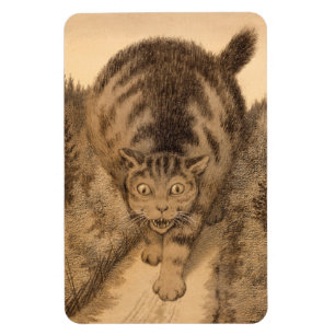 Then the Tabby went Far, and Farther than Far Magnet