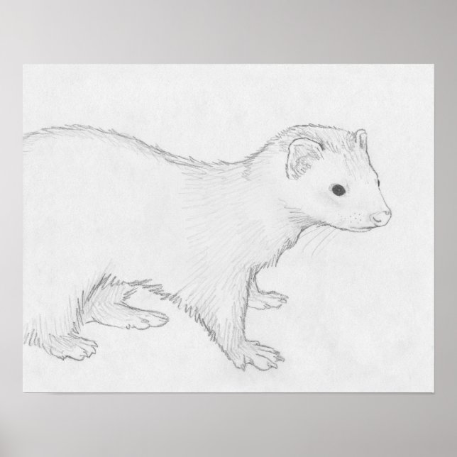 "Theo" Ferret Drawing Poster (Front)