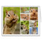 Theo the Amigo Chipmunk Large Collage