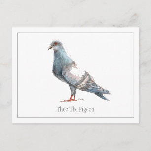 'Theo The Pigeon' Postcard