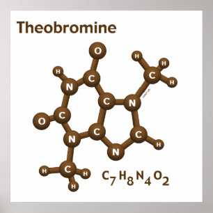 Theobromine Poster