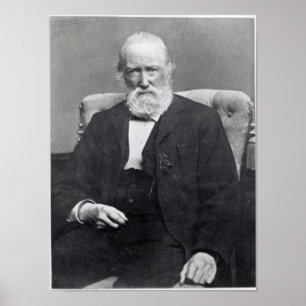 Theodor Storm, c.1886 Poster